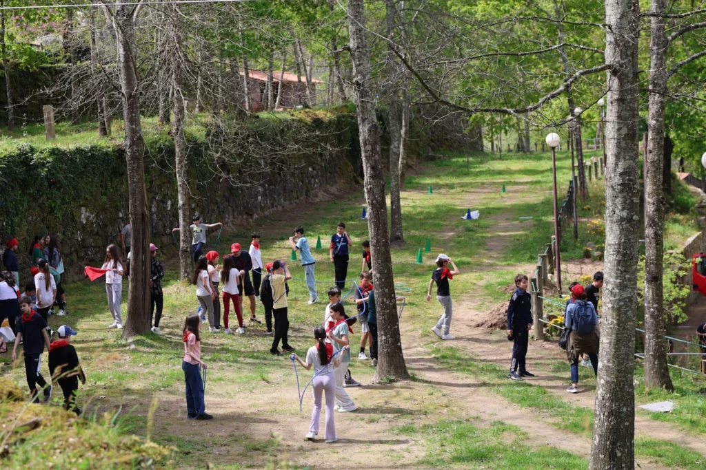 Município de Baião assinala o Dia Mundial da Árvore com atividades ao ar livre