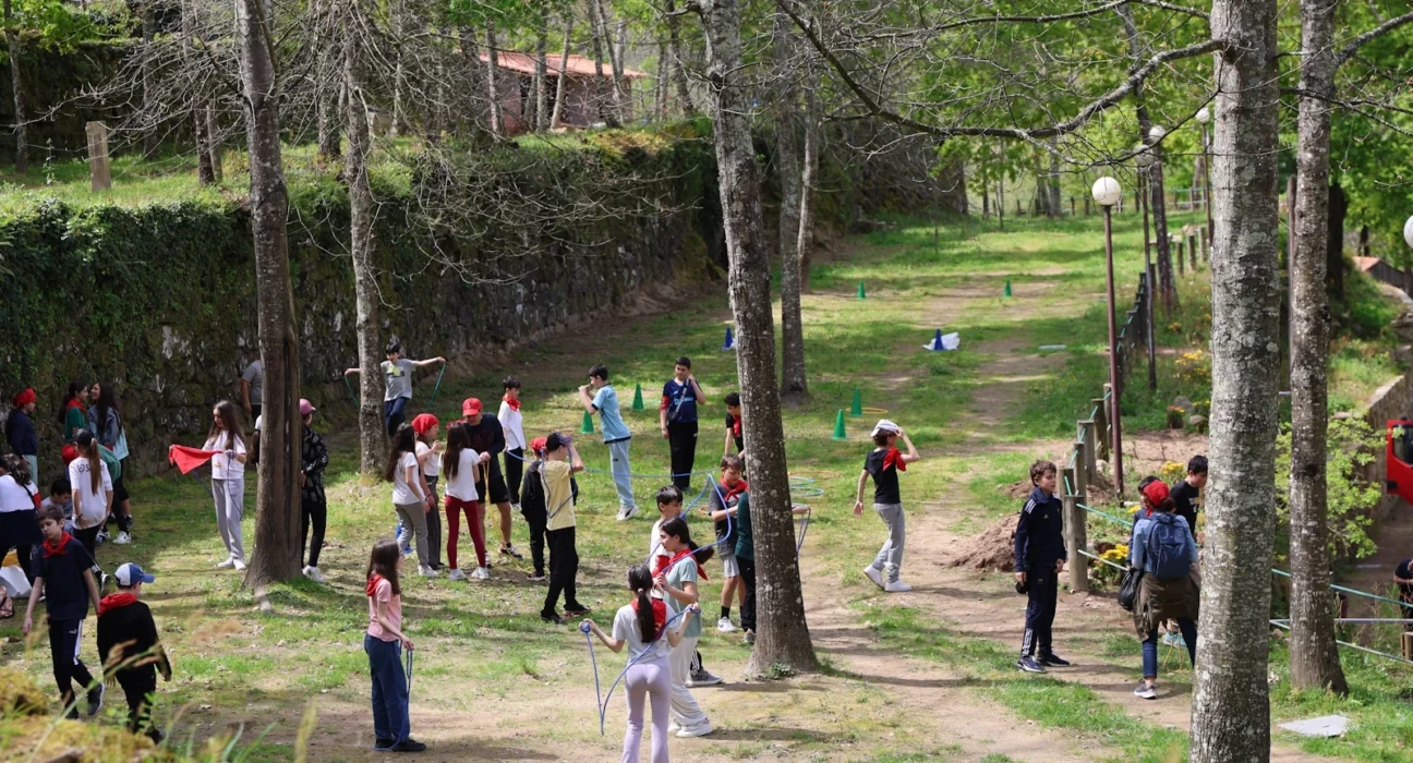 Município de Baião assinala o Dia Mundial da Árvore com atividades ao ar livre