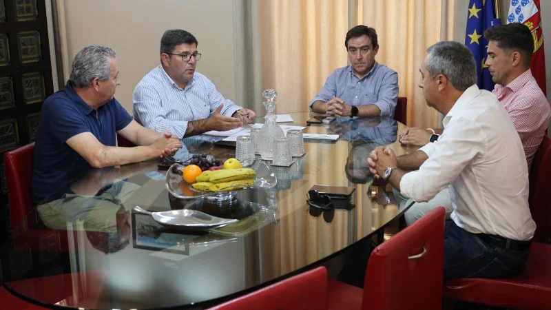 20240731 - Reunião com os presidentes da AD Ancede e AD Baião acerca dos relavdos sintéticos (11)