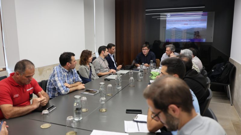20250604 - Reunião da Comissão Municipal de Gestão Integrada de Fogos Rurais de Baião - Proteção Civil (destaque)