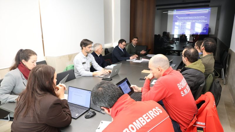 20251230 - Comissão Municipal de Gestão Integrada de Fogos Rurai (5)