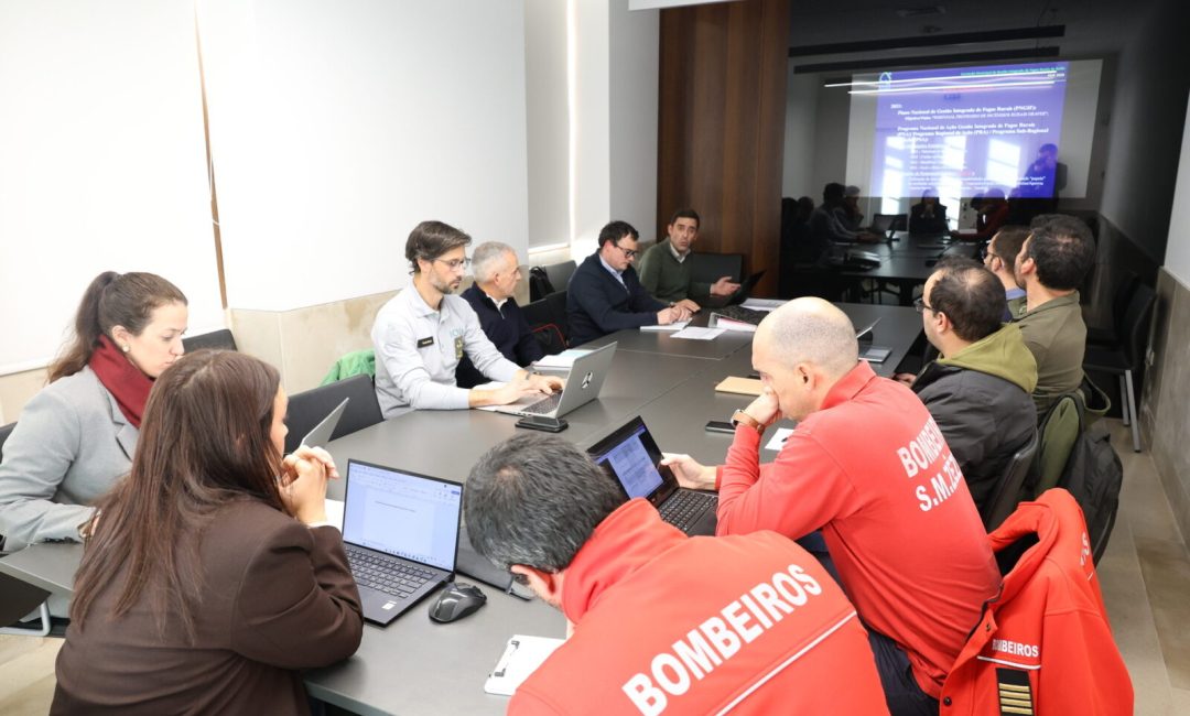 20251230 - Comissão Municipal de Gestão Integrada de Fogos Rurai (5)