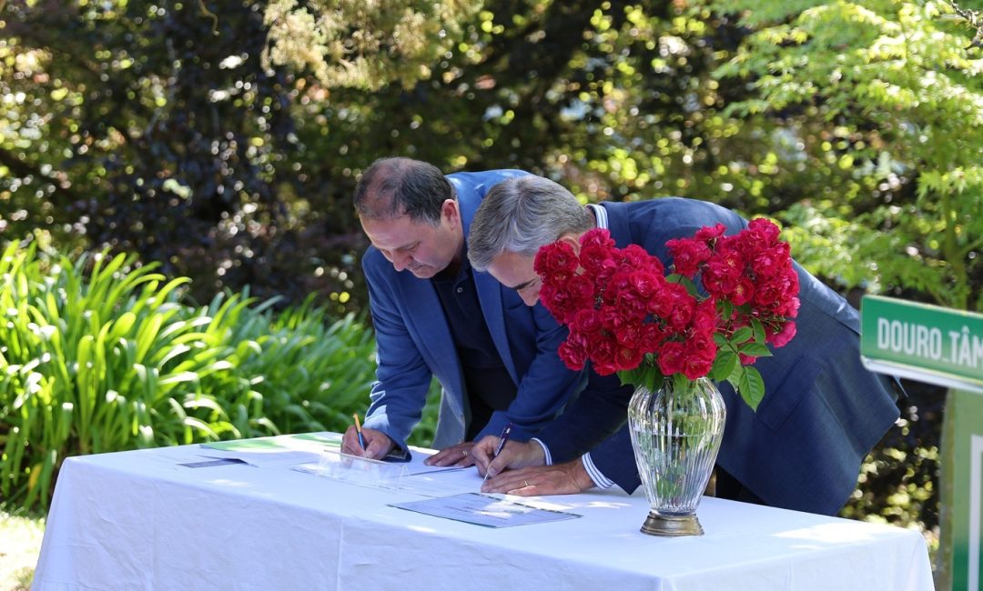 500826554_1002078982091727_1280903473964271363_n