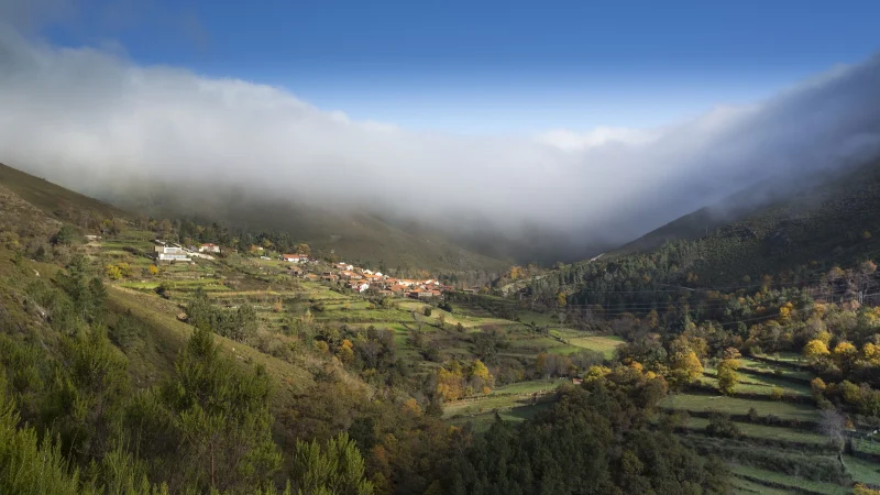 AAgro-Douro-Verde-1