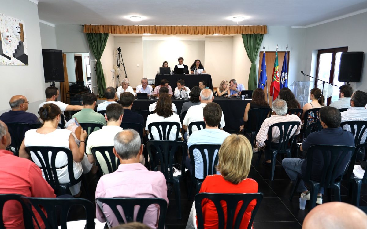 Assembleia Municipal - Gôve (13)