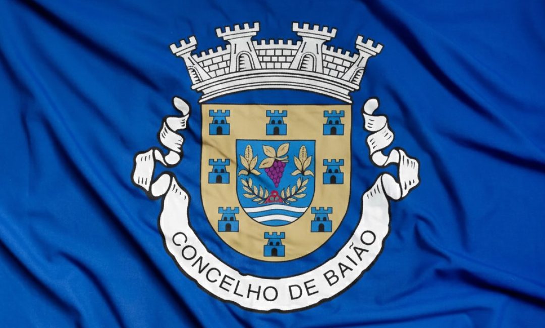 Bandeira-Municipio-de-Baiao_v2