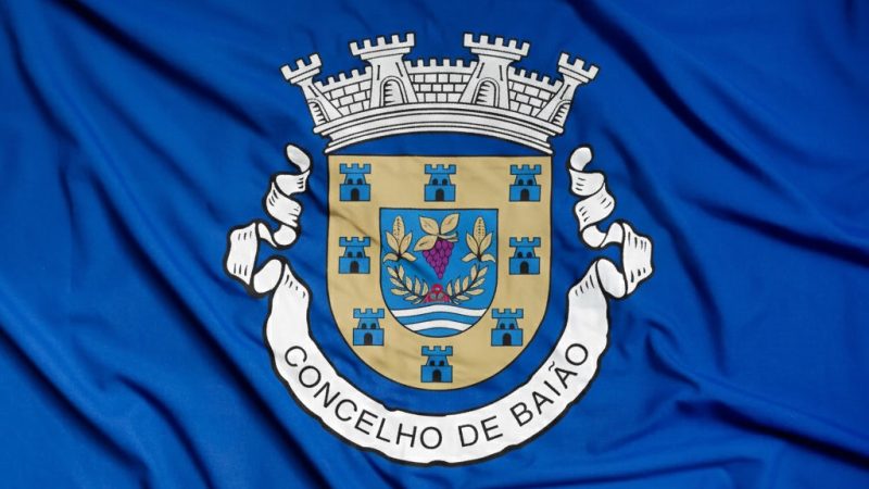 Bandeira-Municipio-de-Baiao_v2