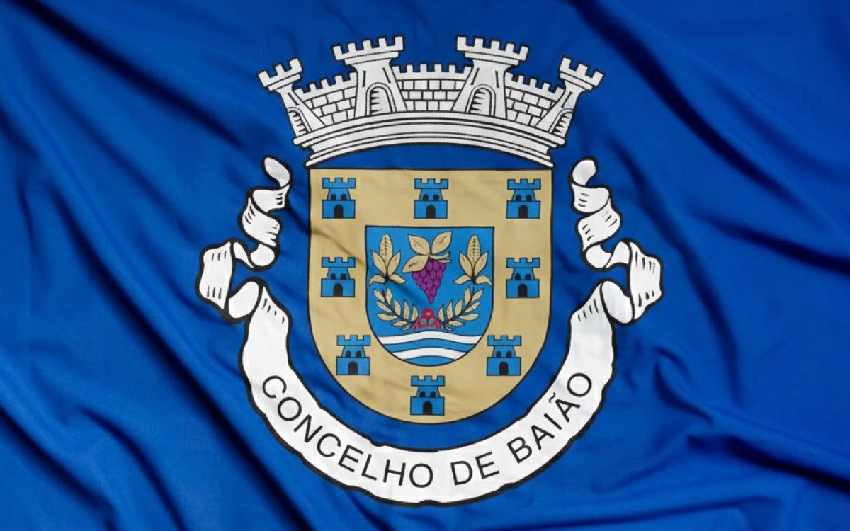 Bandeira-Municipio-de-Baiao_v2