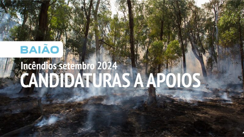 Candidaturas a apoios_CMB (site)