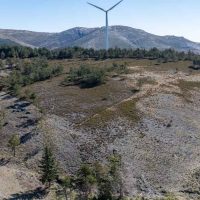 Destaque site f