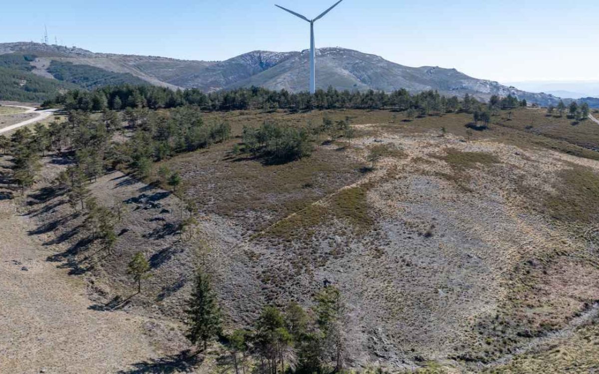 Destaque site f