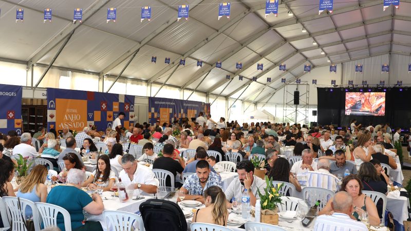 Festival do Anho 2025 (436)