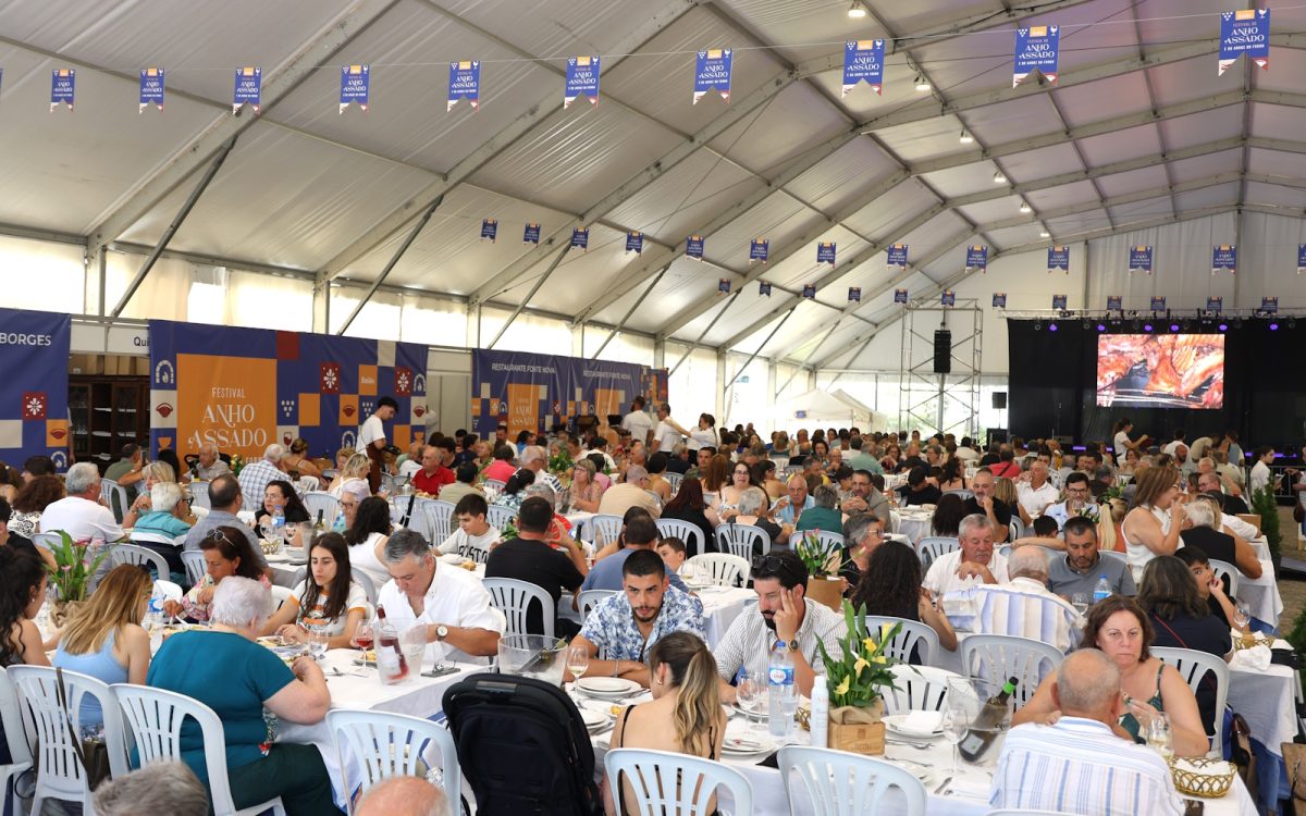 Festival do Anho 2025 (436)