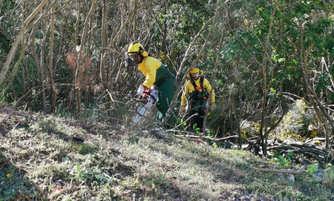 Limpeza-de-terrenos-1-1200x700