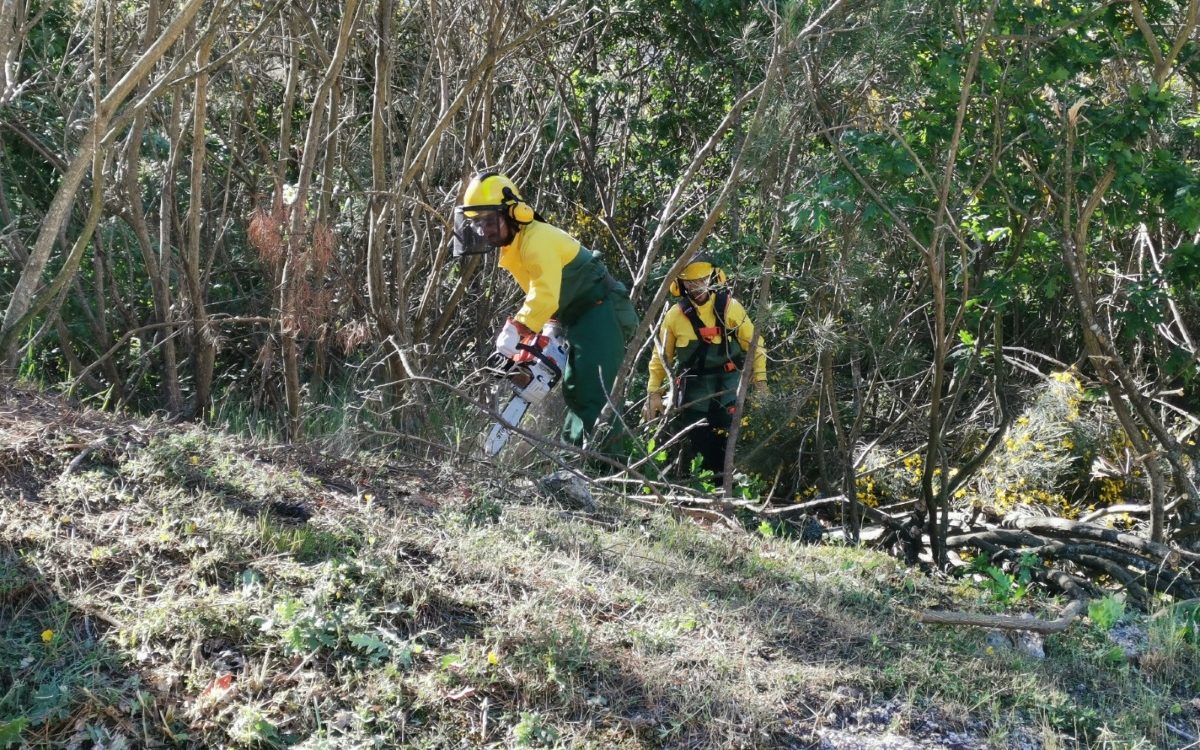 Limpeza de terrenos