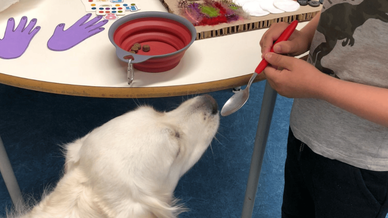 Município alarga terapia assistida com cão aos três agrupamentos de escolas