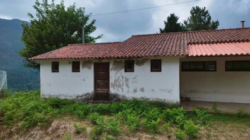 Prieira1