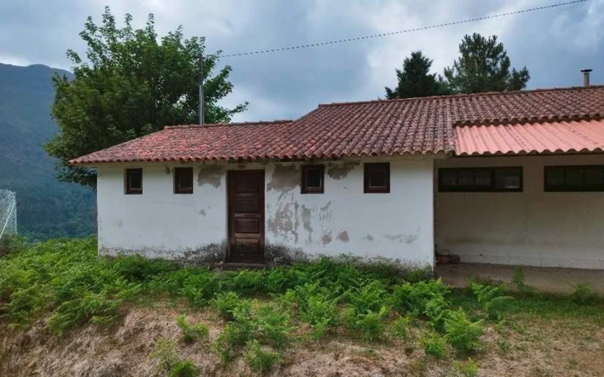 Prieira1