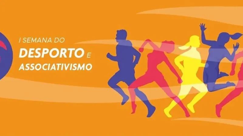 Publicacao2