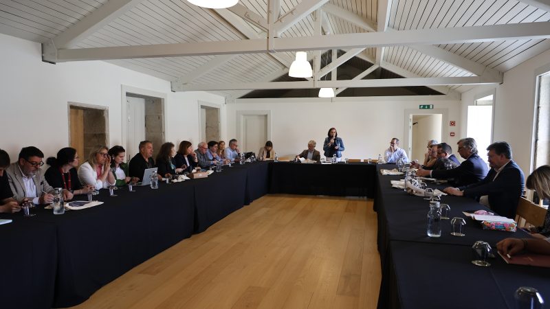 Reunião Comemorações Bicentenário Camilo (4)