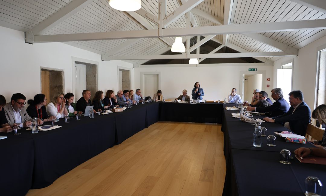 Reunião Comemorações Bicentenário Camilo (4)