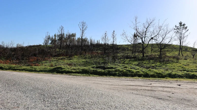 A Câmara Municipal de Baião adquiriu recentemente um terreno no Monte de Tuaraz, situado na Freguesia do Grilo, com uma área de aproximadamente 24.000 m².