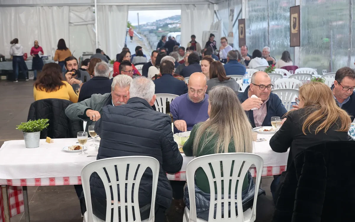 V-mostra-do-Peixe-do-Rio-10