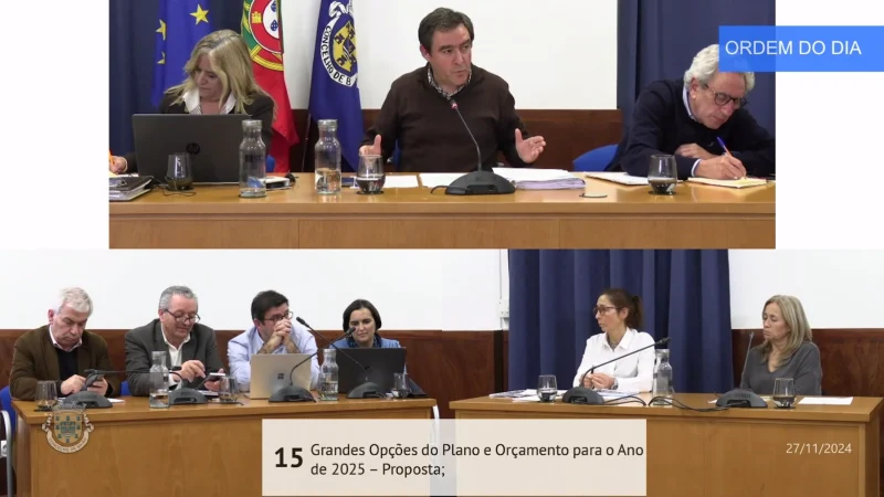 capa 15