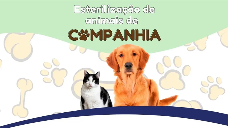 esterilizacao-site
