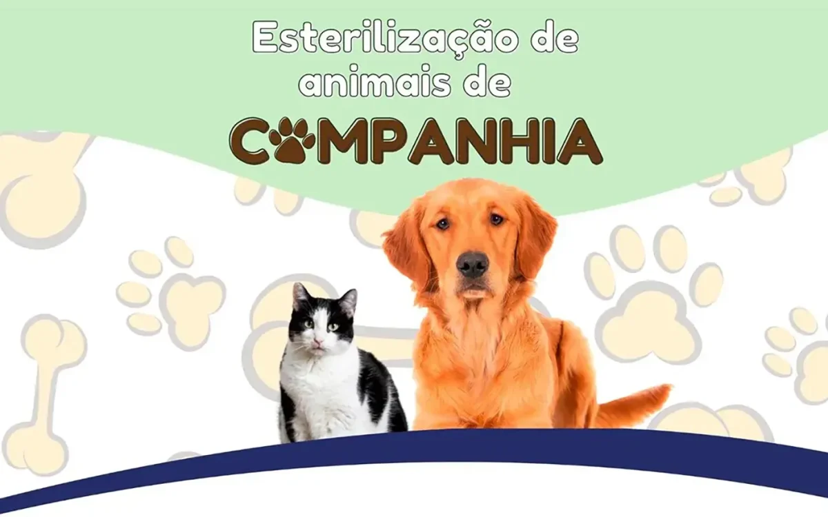 esterilizacao-site