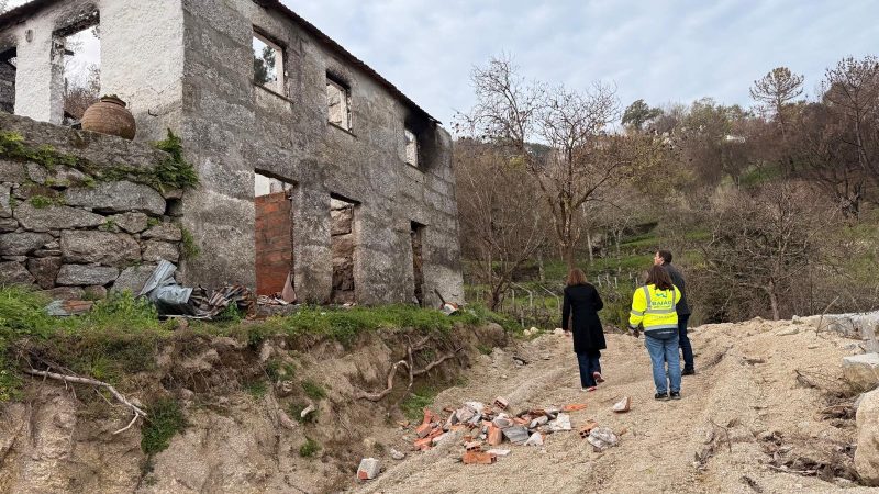 técnicos ccdr n no terreno dest