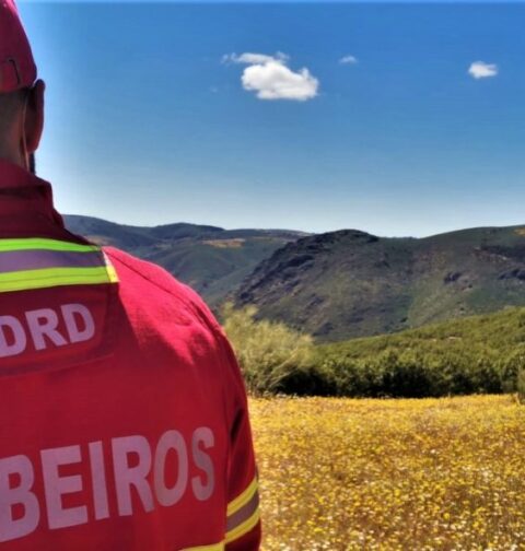 Benefícios Sociais para os Bombeiros Voluntários de Baião e Santa Marinha do Zêzere prosseguem em 2025