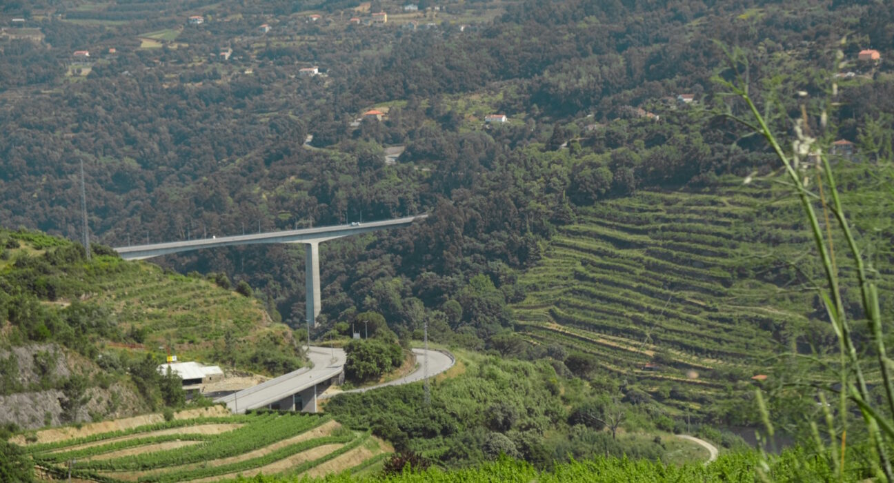 A Infraestruturas de Portugal (IP) e o consórcio vencedor do concurso realizaram, no passado dia 27 de janeiro, o ato de consignação das obras da primeira fase da ligação de Baião à Ponte da Ermida, que assinala o arranque da obra. Esta etapa corresponde à requalificação da EN 108, no troço entre Lodão e a Ponte da Ermida, representando um investimento de 2,6 milhões de euros.