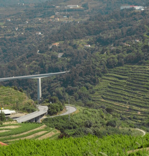 A Infraestruturas de Portugal (IP) e o consórcio vencedor do concurso realizaram, no passado dia 27 de janeiro, o ato de consignação das obras da primeira fase da ligação de Baião à Ponte da Ermida, que assinala o arranque da obra. Esta etapa corresponde à requalificação da EN 108, no troço entre Lodão e a Ponte da Ermida, representando um investimento de 2,6 milhões de euros.