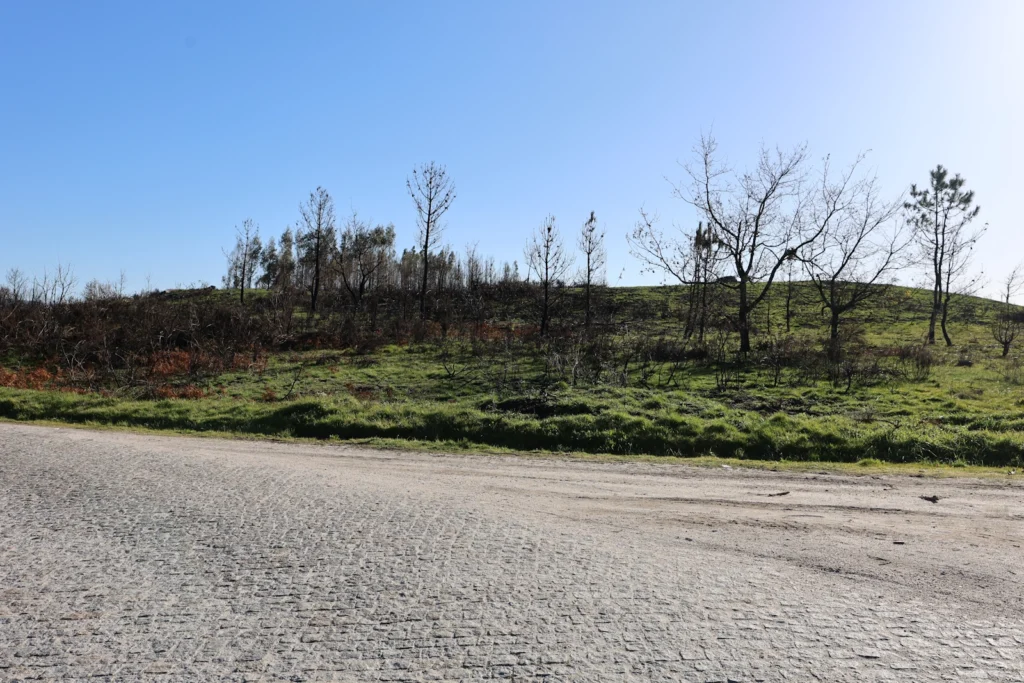 A Câmara Municipal de Baião adquiriu recentemente um terreno no Monte de Tuaraz, situado na Freguesia do Grilo, com uma área de aproximadamente 24.000 m².