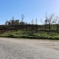 A Câmara Municipal de Baião adquiriu recentemente um terreno no Monte de Tuaraz, situado na Freguesia do Grilo, com uma área de aproximadamente 24.000 m².