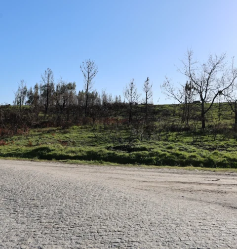 A Câmara Municipal de Baião adquiriu recentemente um terreno no Monte de Tuaraz, situado na Freguesia do Grilo, com uma área de aproximadamente 24.000 m².