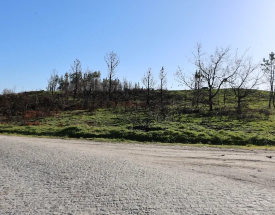 A Câmara Municipal de Baião adquiriu recentemente um terreno no Monte de Tuaraz, situado na Freguesia do Grilo, com uma área de aproximadamente 24.000 m².