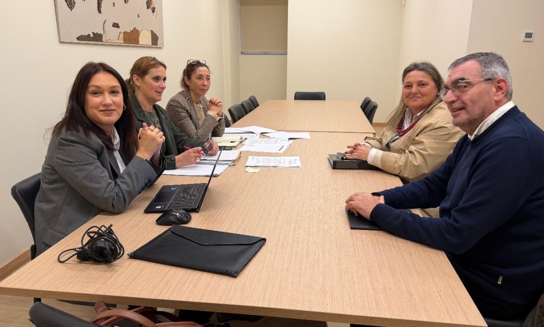 Audiência prévia para revisão do Código Regulamentar Municipal - Apoios às IPSS e equiparadas 2